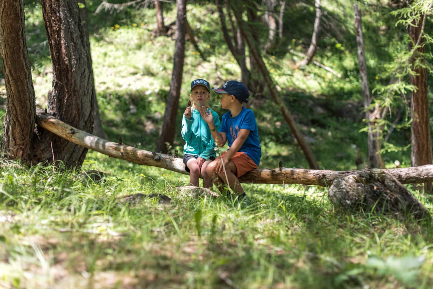 2 enfants assis sur un tronc d'arbre à valloire en été